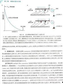 生理学第八版教学视频,生理学第八版教学视频核心内容概览