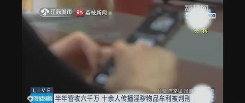 成让看的视频,探寻科技与生活的完美融合