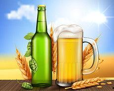 啤酒瓶无码 下载,无码下载背后的秘密