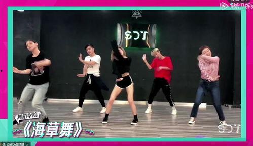 海草舞视频分解动作