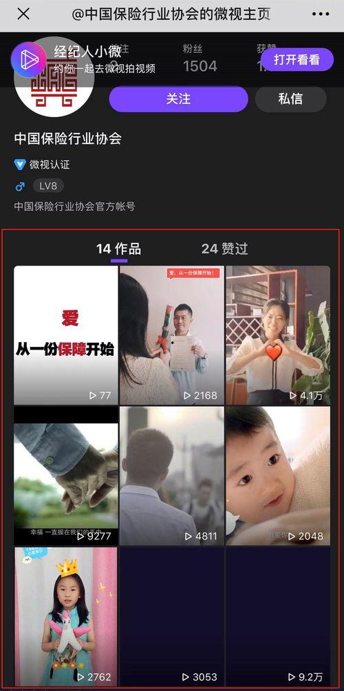 宠爱开头视频,温情满满，宠物与主人间的感人故事