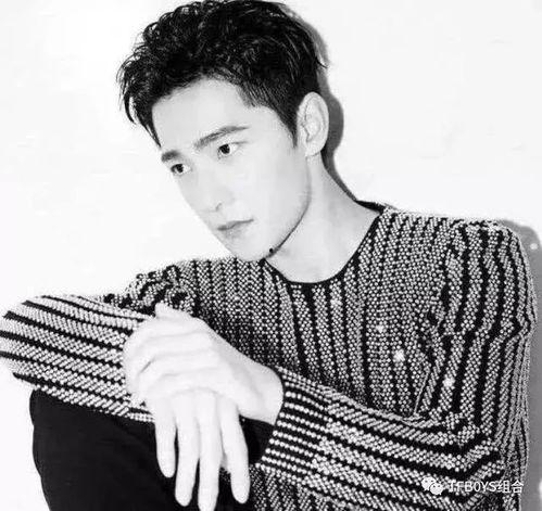 明星大背头照片,时尚与魅力的完美融合