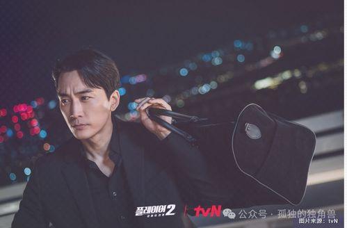 韩剧玩家在线播放,穿越虚拟世界的生存游戏