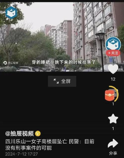 网友爆料坠楼事件真相视频,还原惊心动魄的瞬间