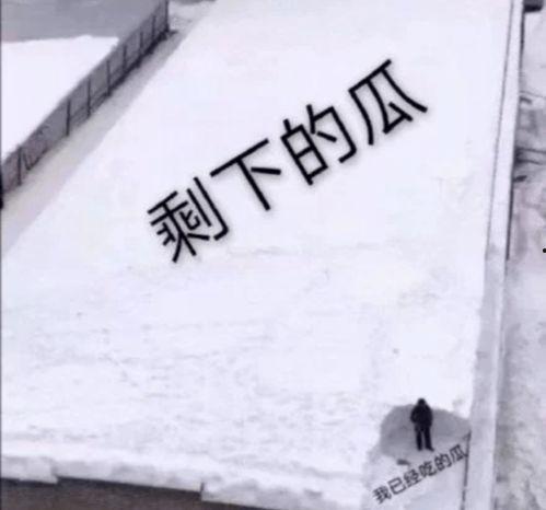 娱乐有态度吃瓜有深度的句子